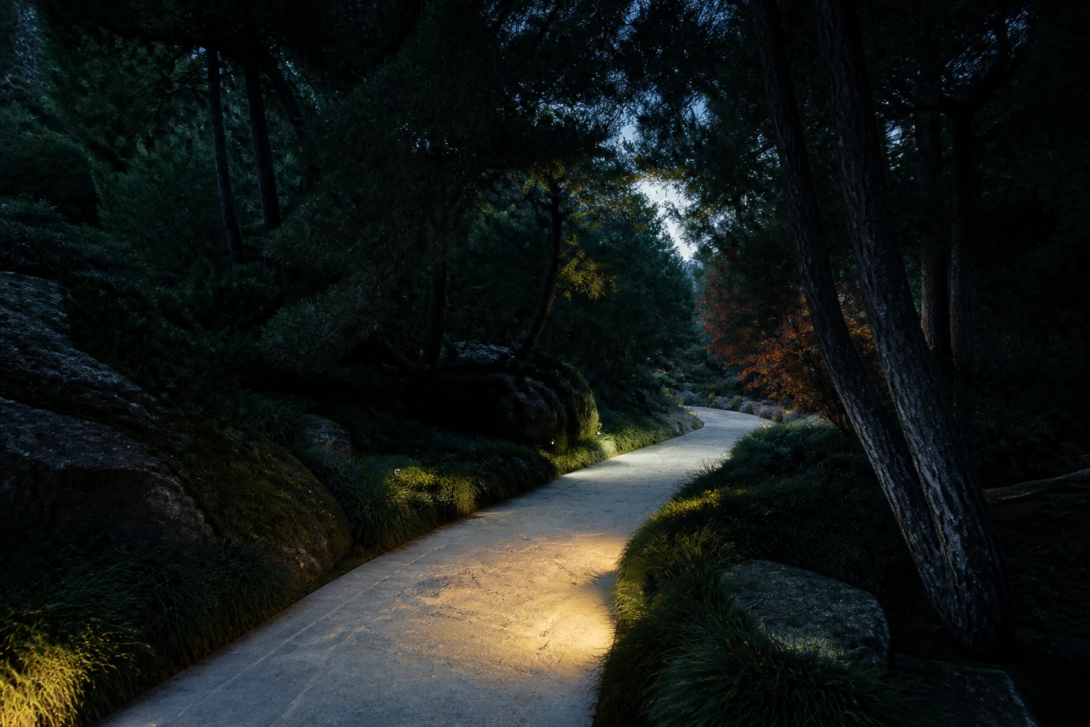 A softly illuminated path moves forward through a serene forest.