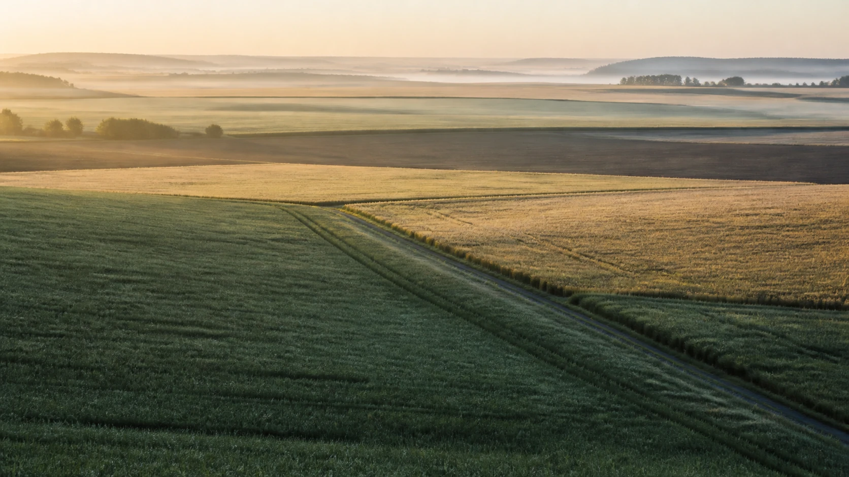 Cultivated fields continue across a calm misty horizon in warm light.