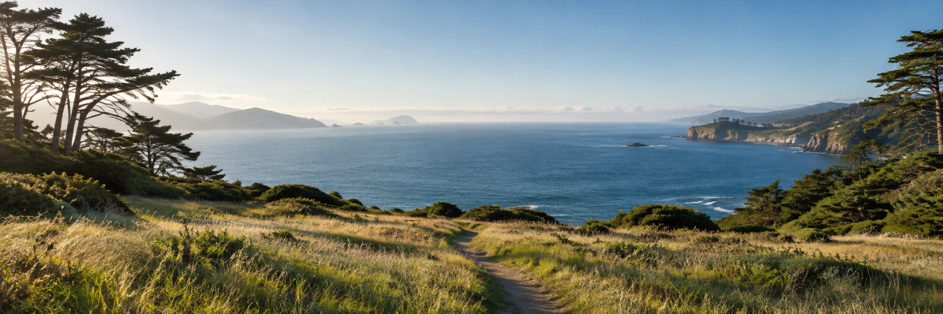 A sunlit coastal meadow opens toward a calm blue bay and a clear horizon.